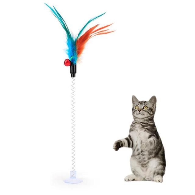 Interactive Multicolour Feather Toys