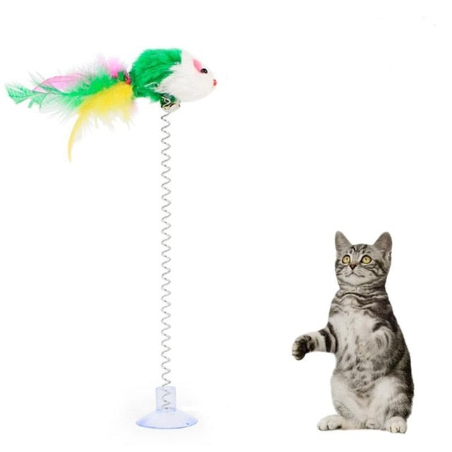 Interactive Multicolour Feather Toys