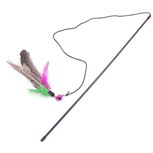 Legendog Multicolour Cats Feather Toys