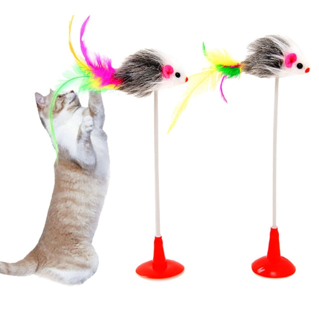 Legendog Multicolour Cats Feather Toys