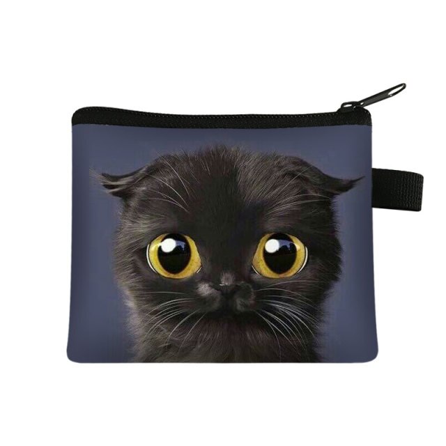 COOLOST Women Navy Blue With Printed Cat Coins Purse
