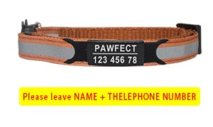 PAWFECT Casual Multicolour Collar