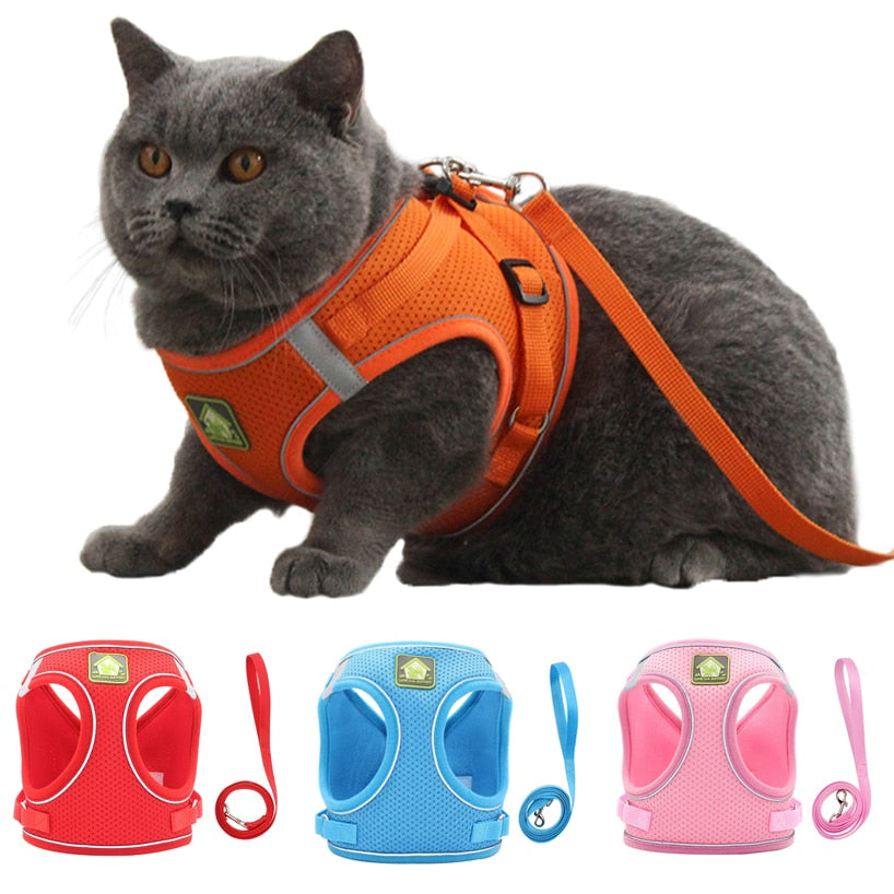 CDDMPET Casual Multicolour Cats/Dogs Vest
