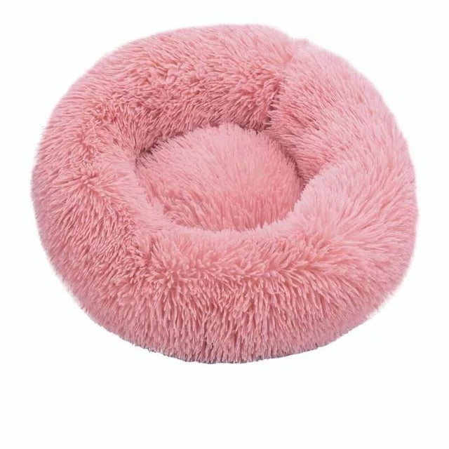 ANGDUO Super Soft Multicolour Cats Bed