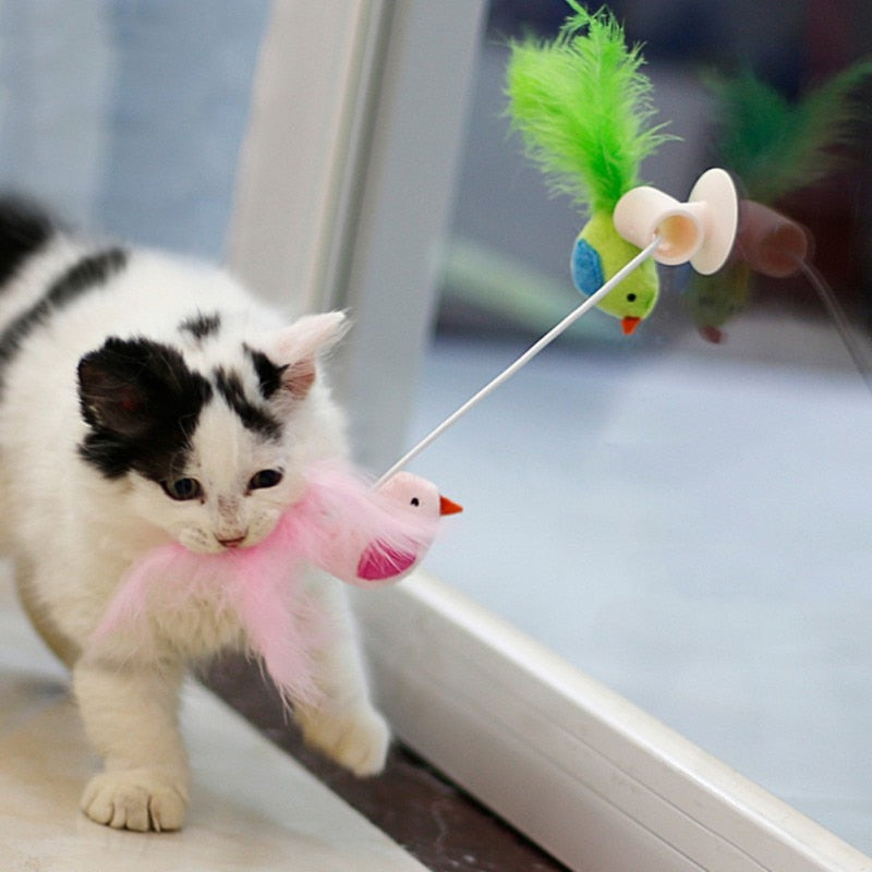 Interactive Window Suction Bird Toy - squishbeans