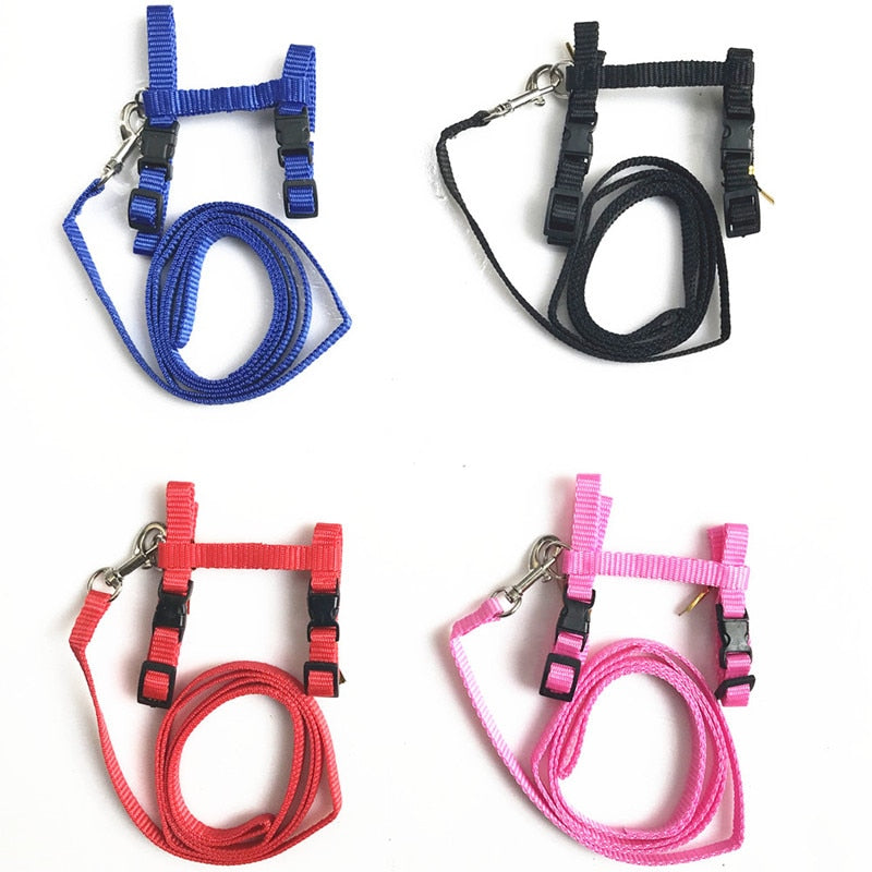 Adjustable Nylon Harness And Leash - squishbeans