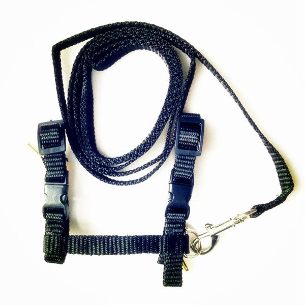 Adjustable Nylon Harness And Leash - squishbeans