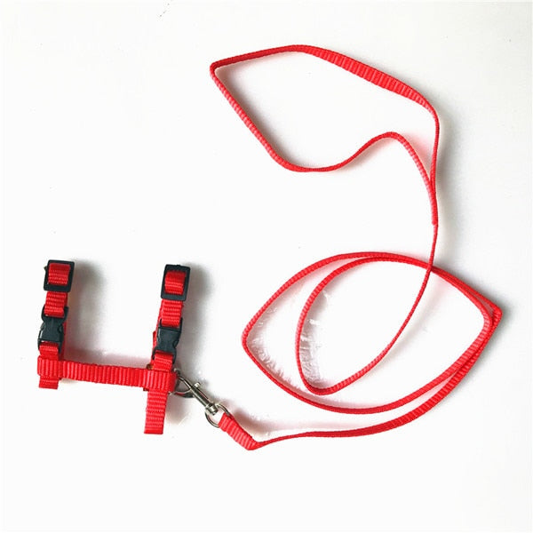 Adjustable Nylon Harness And Leash - squishbeans