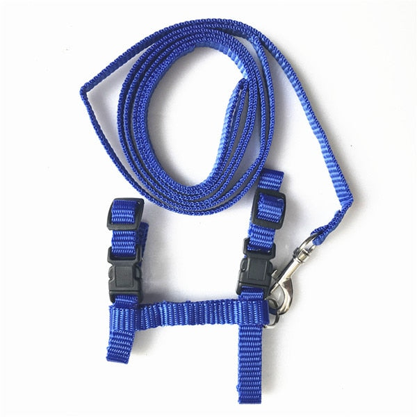 Adjustable Nylon Harness And Leash - squishbeans