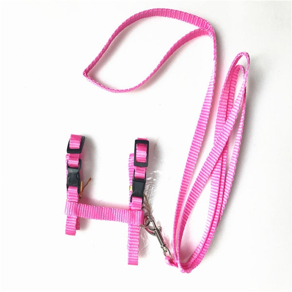 Adjustable Nylon Harness And Leash - squishbeans