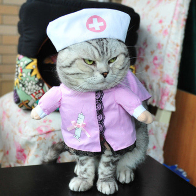 Funny Pet Costume - Nurse - squishbeans