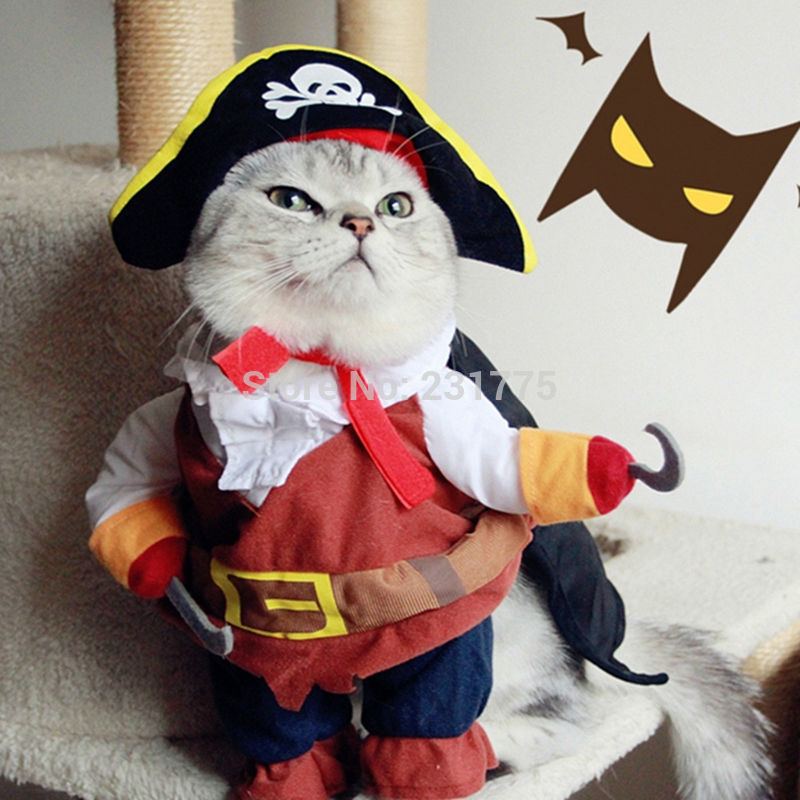 Funny Pet Costume - Pirate - squishbeans