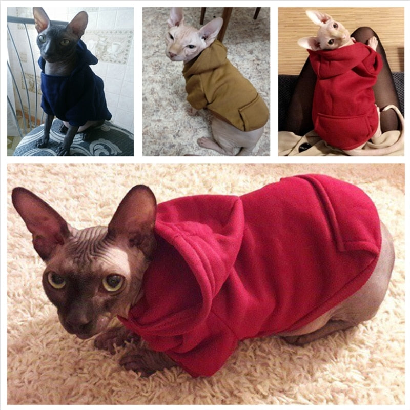 Adorable Cat Hoodies - squishbeans