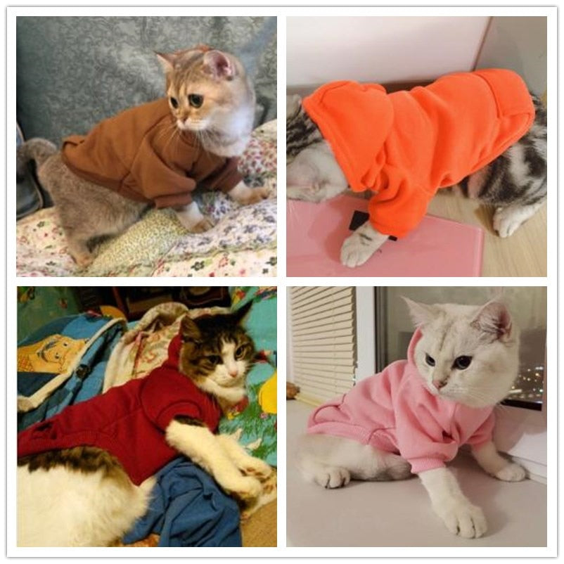 Adorable Cat Hoodies - squishbeans