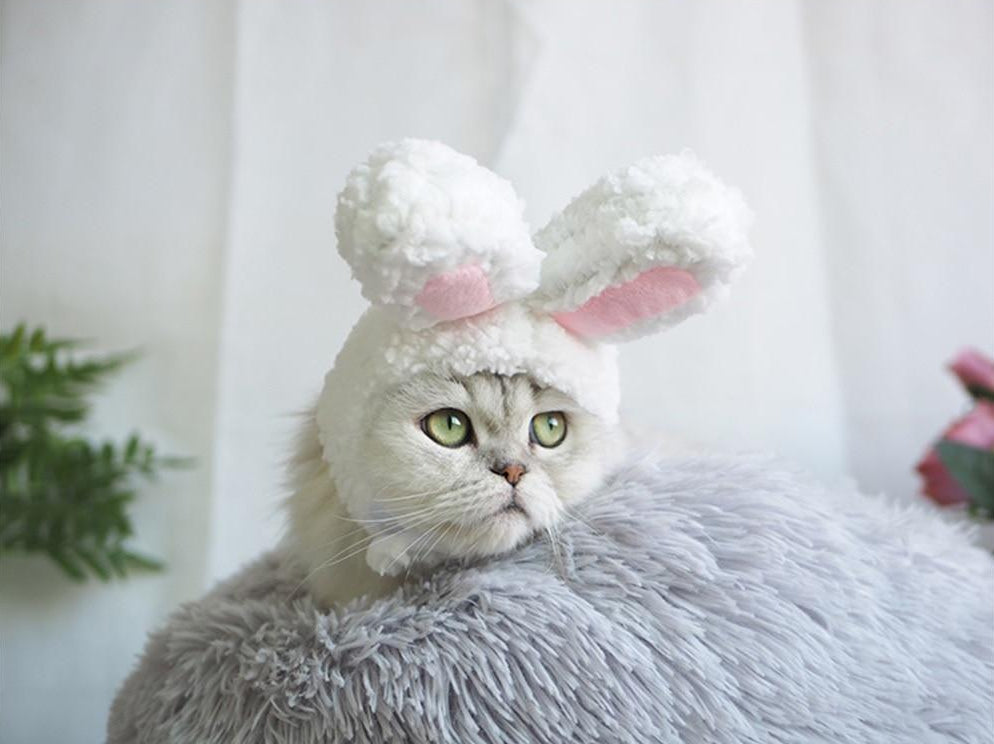 Kitty Cosplay Rabbit Ears - squishbeans