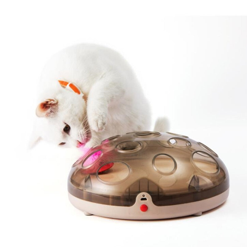 Magnetic Rotating Cat Play - squishbeans